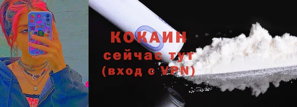 PSILOCYBIN Пересвет
