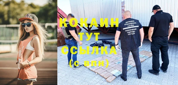 соль курить ск Гатчина