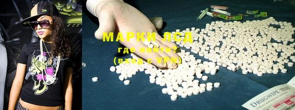 PSILOCYBIN Пересвет