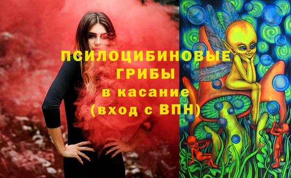 соль курить ск Гатчина
