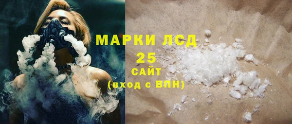 PSILOCYBIN Пересвет