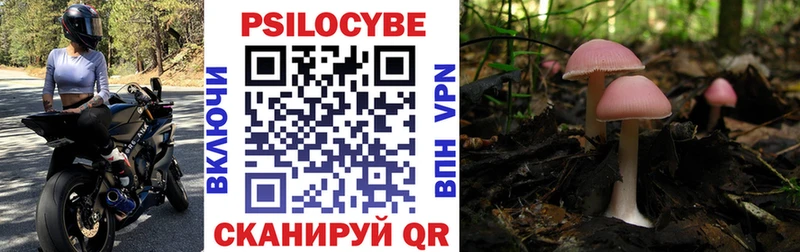 Галлюциногенные грибы Psilocybe  где купить наркотик  Лакинск 